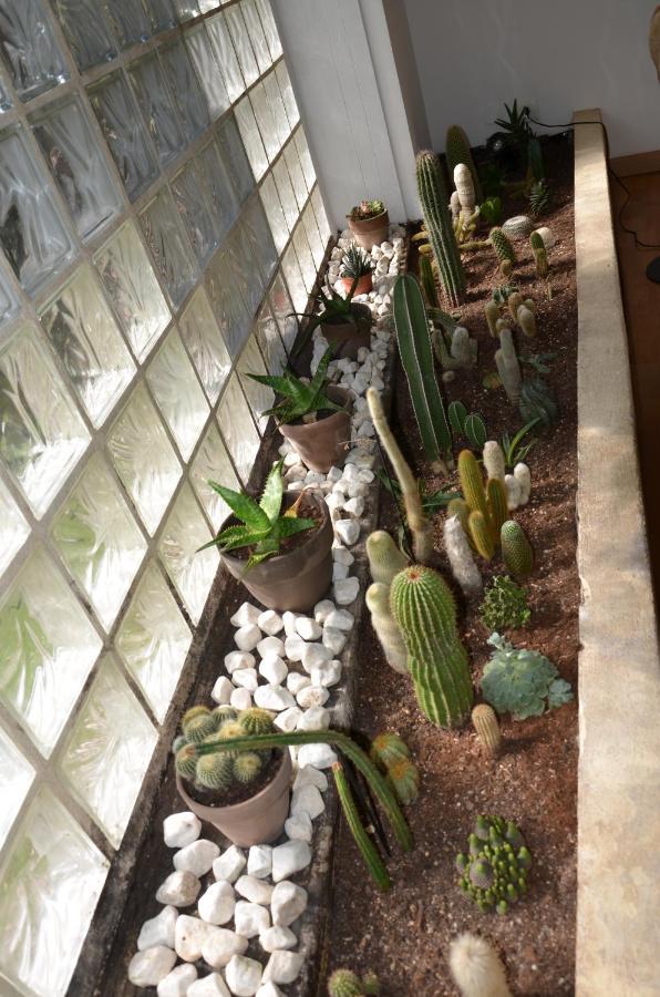 Karouba.31 Appartement *